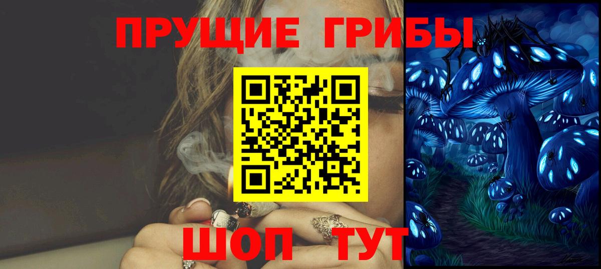Псилоцибиновые грибы Cubensis  Вход с VPN  Сарапул 