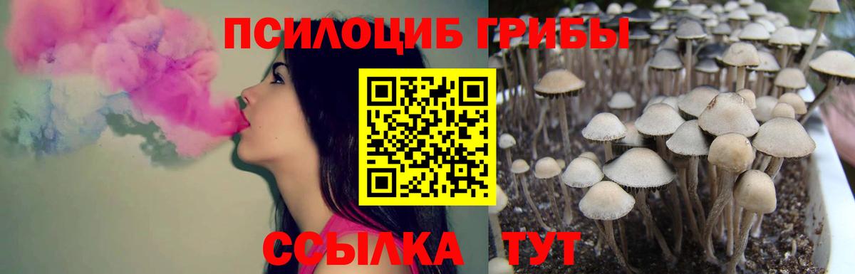 Псилоцибиновые грибы мицелий Сарапул